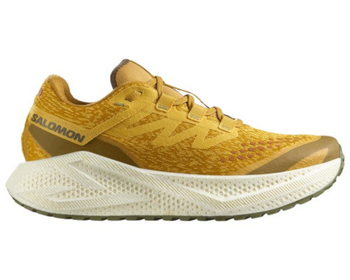 Salomon Aero Glide 3 GRVL